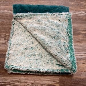 Minky Blanket Infant Toddler Teal and Frosted Teal